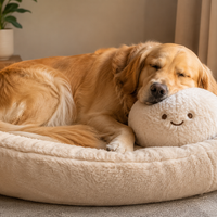 Petnosia Calm Companion — Smart Plush Pet Anxiety Relief Device